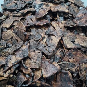 Alternative view of Lamslong - gevlekt