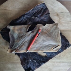 Kameel kophuid PLATEN XL