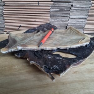 Alternative view of Kameel kophuid PLATEN XL