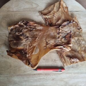 Alternative view of Rund kophuid PLAAT M