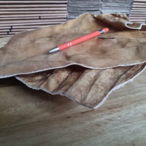 Alternative view of Paarden kophuid PLATEN XL