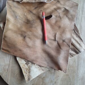 Paarden kophuid PLATEN XL